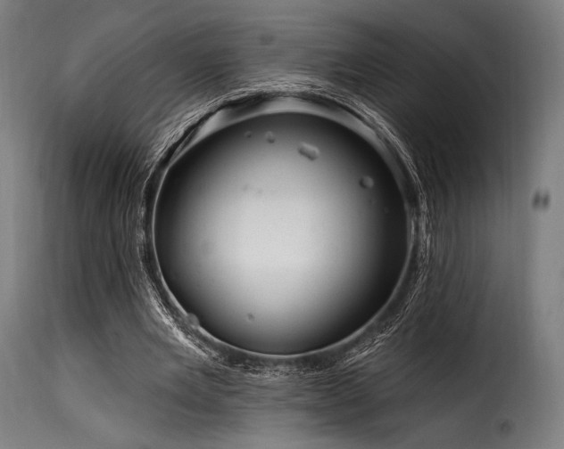 X0000116160485200911231408