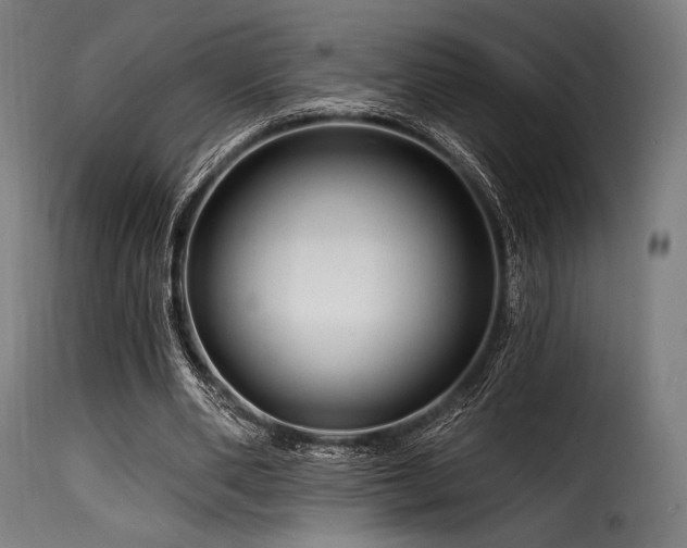 X0000116160486200911231408