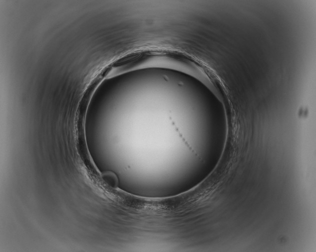 X0000116160487200911231408