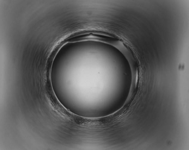 X0000116160488200911231408