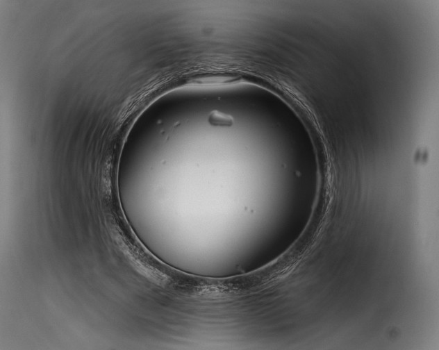 X0000116160489200911231408