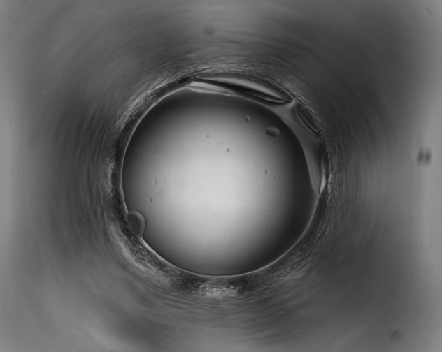 X0000116160491200911231408