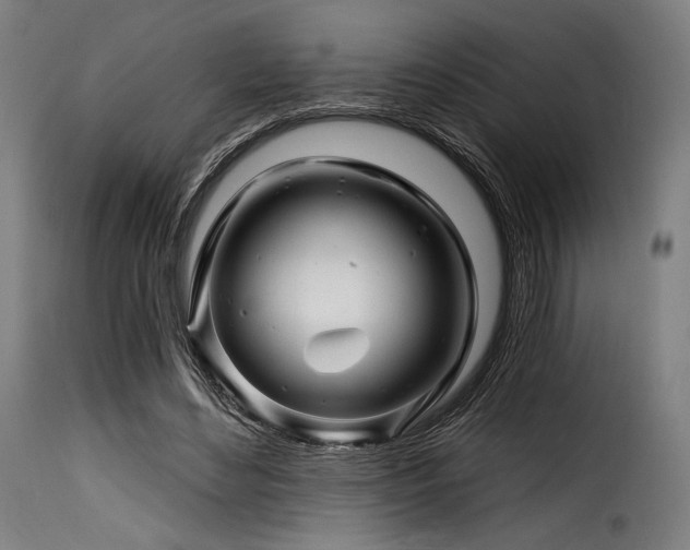 X0000116160492200911231408