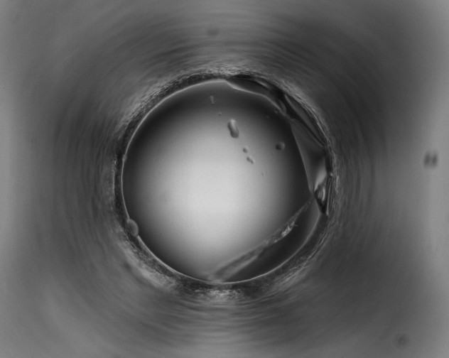 X0000116160493200911231408