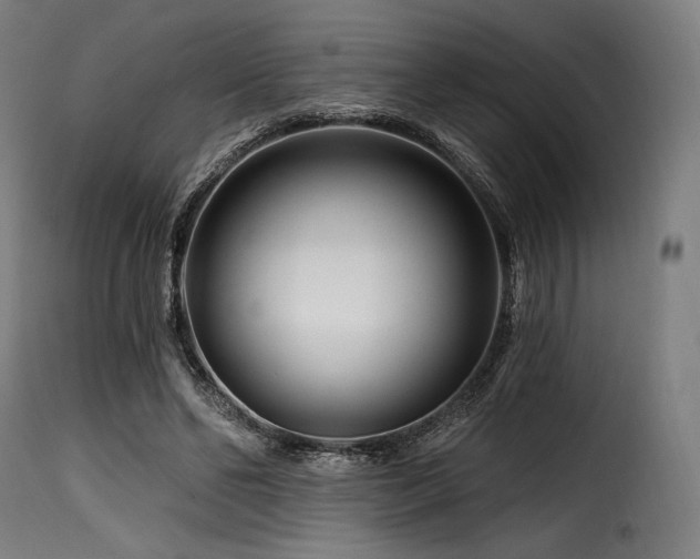 X0000116160494200911231408