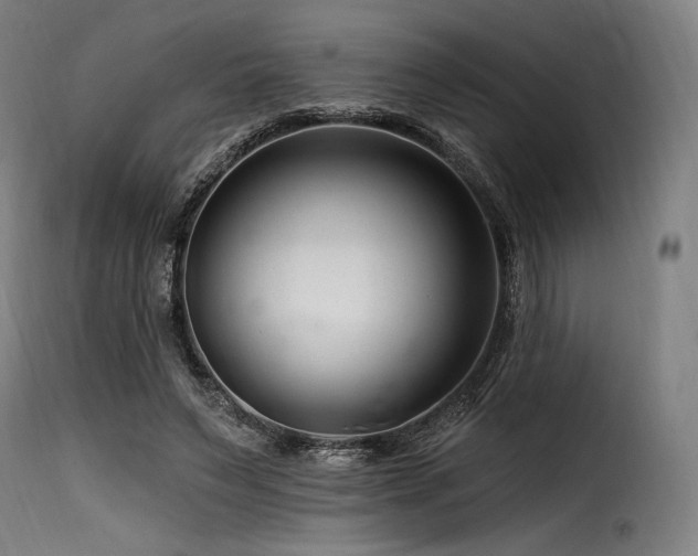 X0000116160495200911231408