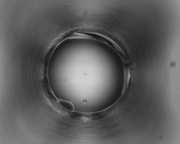 X0000116160496200911231408