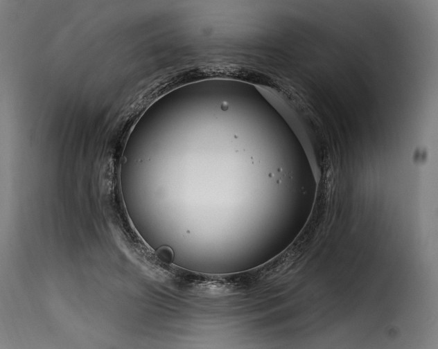 X0000116160498200911231408