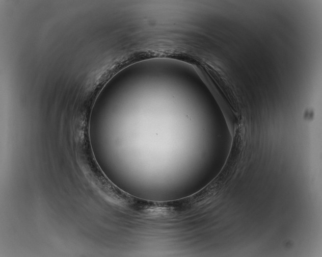 X0000116160499200911231408