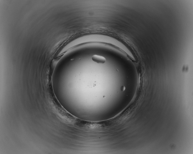 X0000116160501200911231408