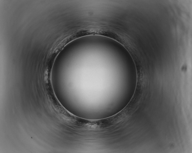 X0000116160502200911231408