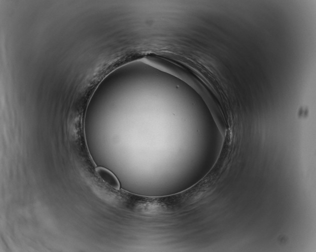 X0000116160503200911231408