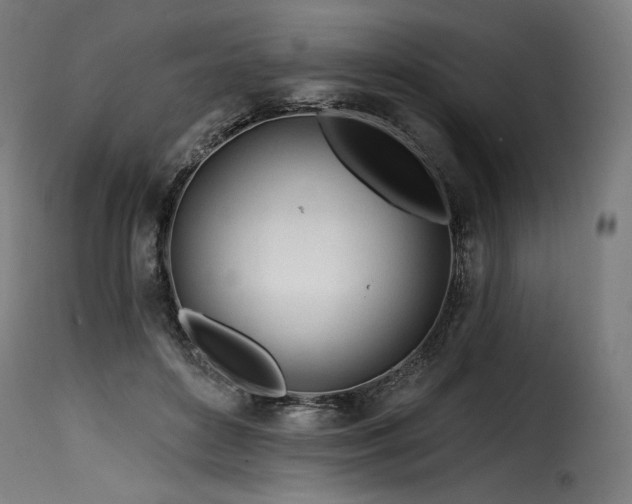 X0000116160504200911231408