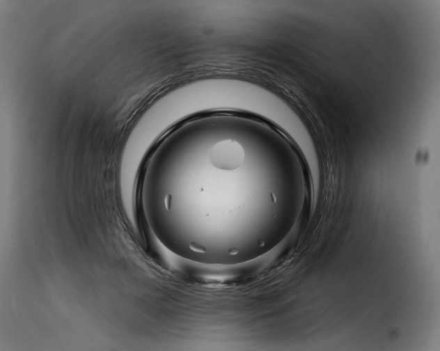 X0000116160505200911231408