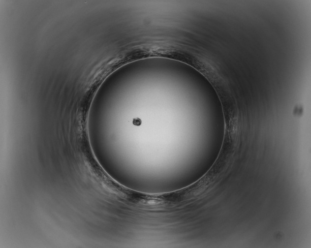 X0000116160506200911231408