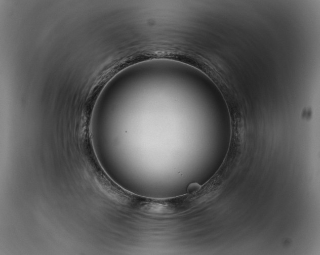 X0000116160507200911231408