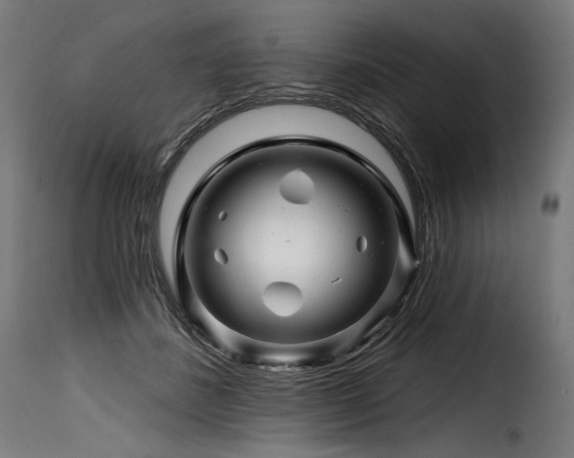 X0000116160508200911231408