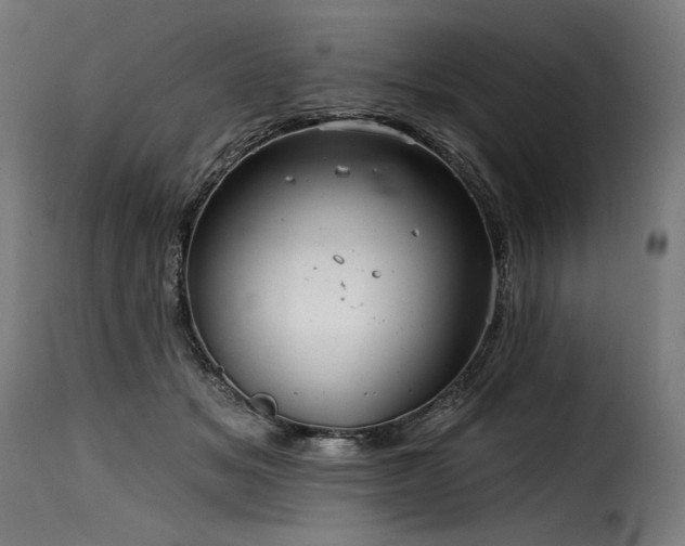 X0000116160509200911231408