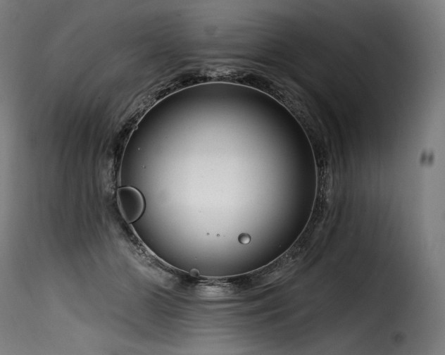 X0000116160510200911231408