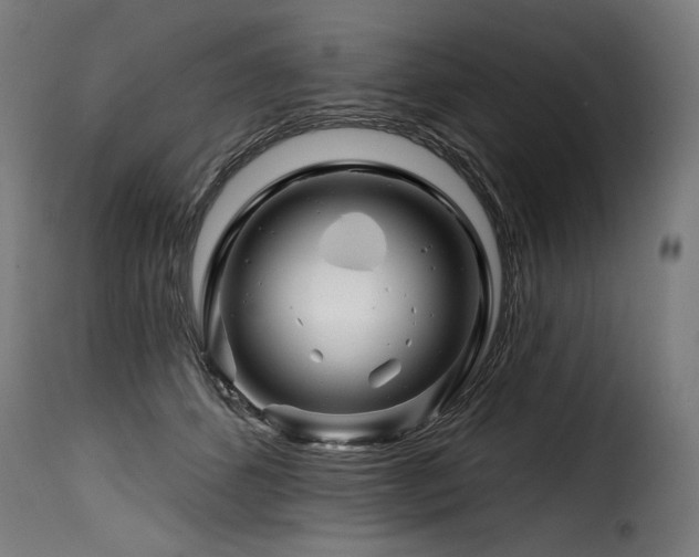 X0000116160512200911231408