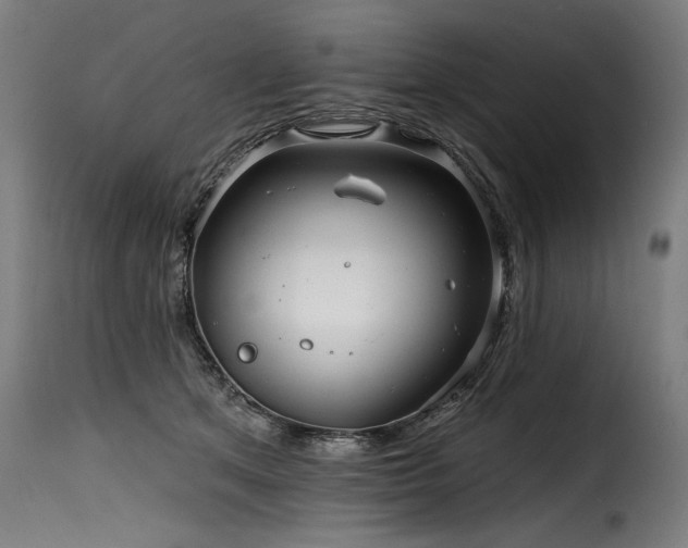 X0000116160513200911231408