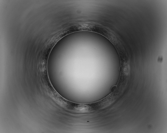 X0000116160514200911231408