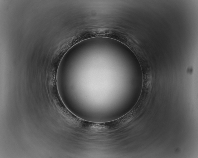 X0000116160515200911231408