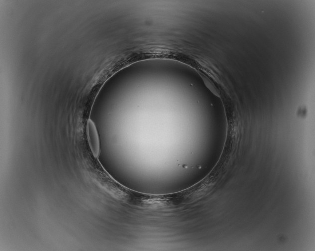 X0000116160516200911231408