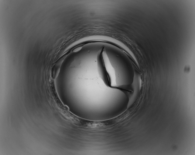 X0000116160517200911231408