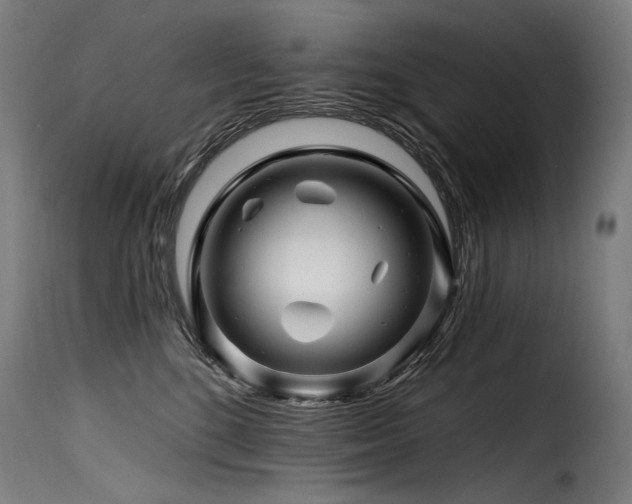 X0000116160520200911231408