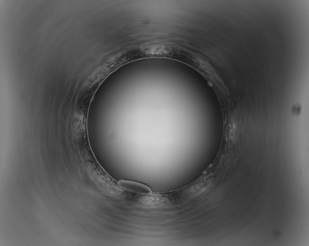 X0000116160521200911231408