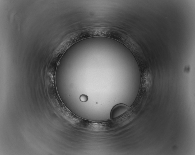 X0000116160522200911231408