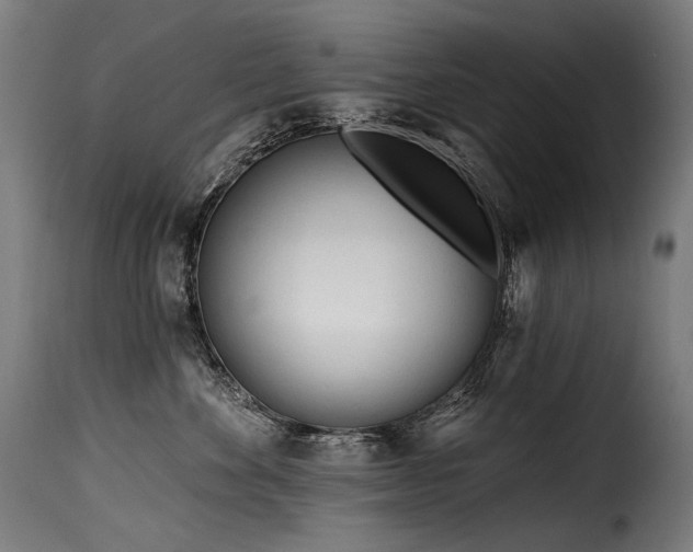 X0000116160524200911231408