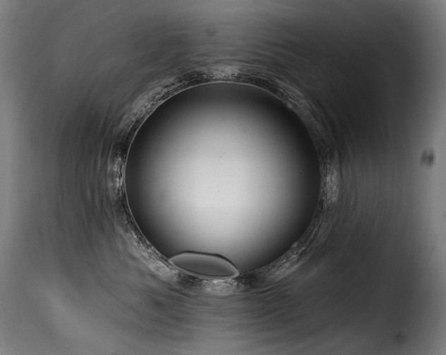 X0000116160525200911231408