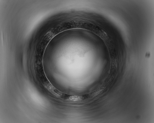 X0000116160526200911231408