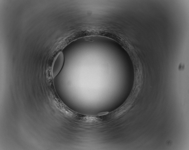 X0000116160528200911231408