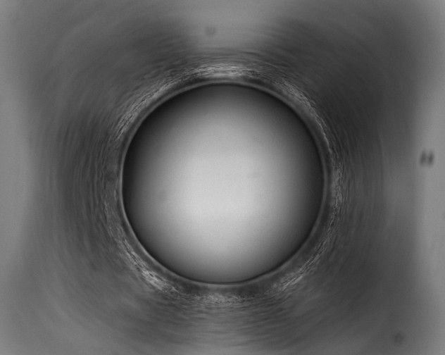 X0000116160529200911231407