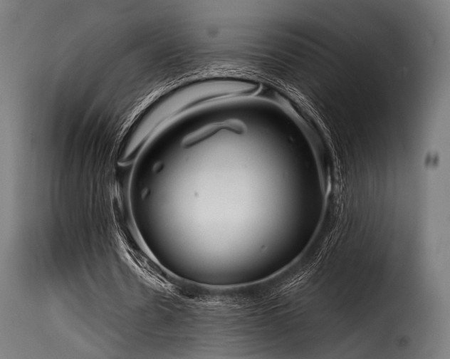 X0000116160530200911231407