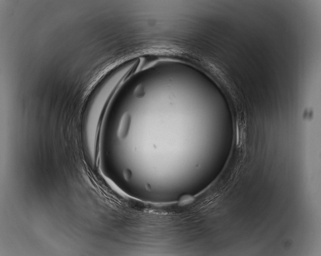 X0000116160531200911231407