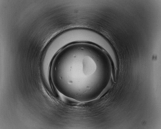X0000116160534200911231407