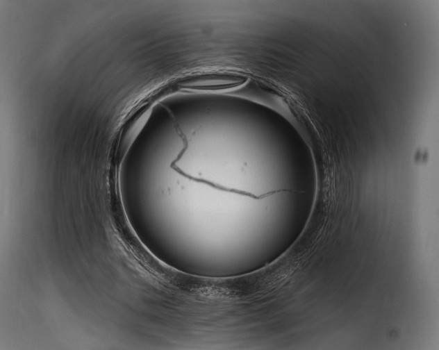 X0000116160535200911231407