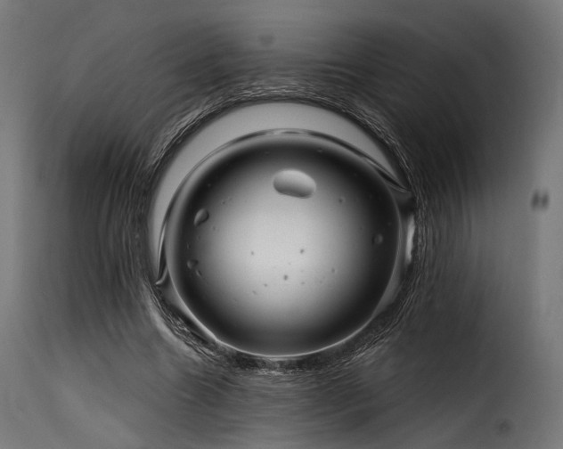 X0000116160538200911231407