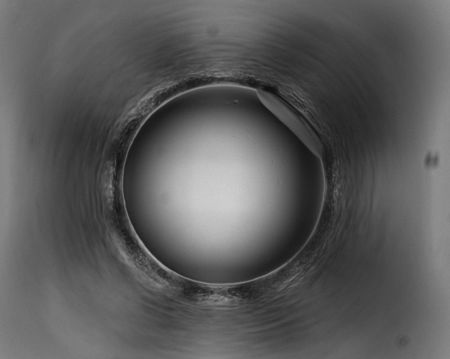 X0000116160542200911231407
