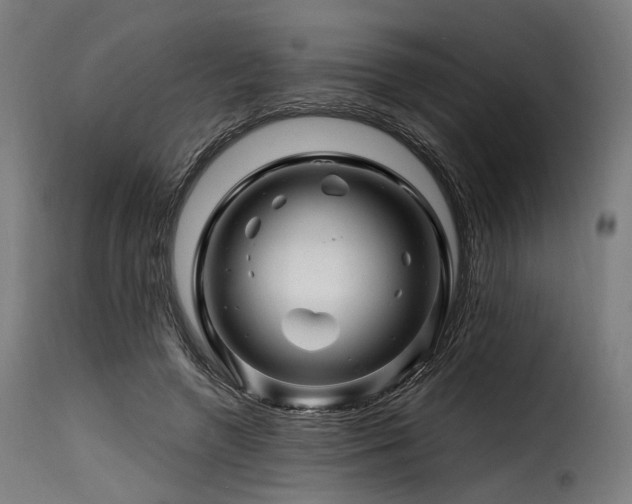 X0000116160546200911231407