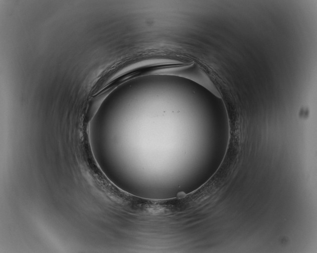X0000116160547200911231407