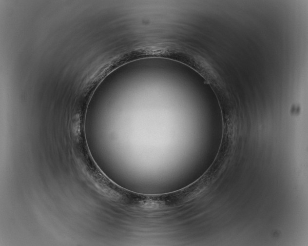 X0000116160549200911231407