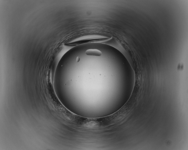 X0000116160551200911231407