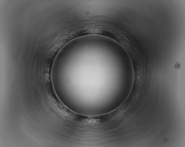 X0000116160553200911231407