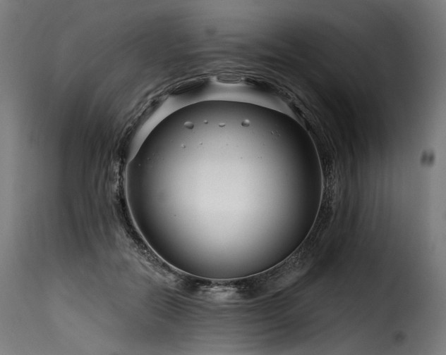 X0000116160554200911231407