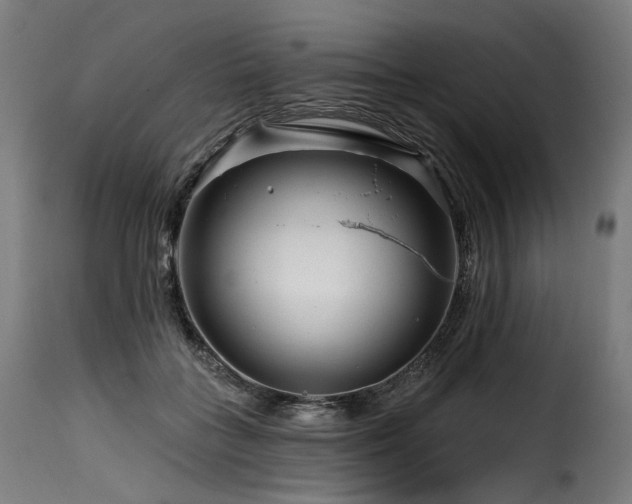 X0000116160555200911231407